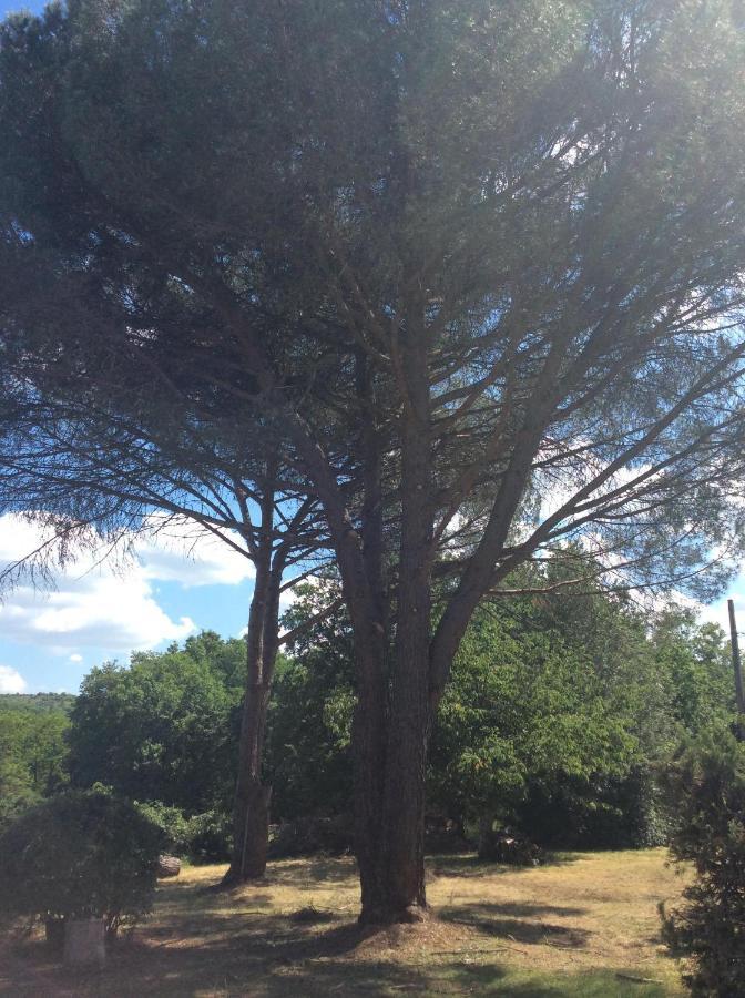 Le Jardin Du Moustoulac Chambres D'Hotes Cahors Esterno foto
