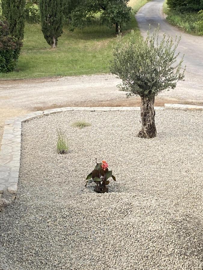 Le Jardin Du Moustoulac Chambres D'Hotes Cahors Esterno foto